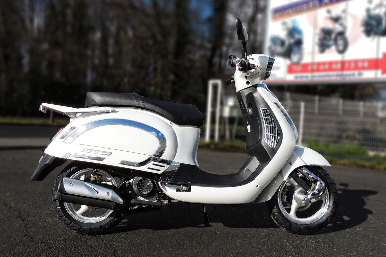 SCOOTER-50-ECCHO-EAGLE-WING-03